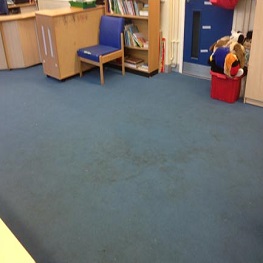 school carpet cleaning broward